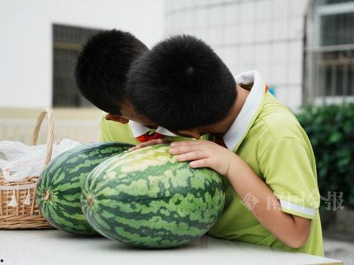 校园网吃瓜,揭秘校园热点事件背后的真相