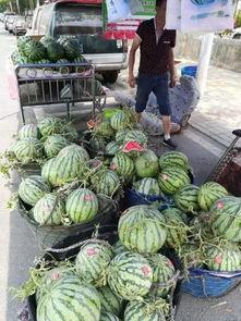 陇南网红吃瓜事件视频